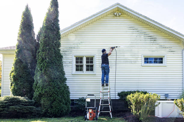 Best Historic Building Restoration  in Ipswich, SD